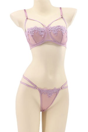 Lenjerie erotică - Set lenjerie sexy transparenta, cu dantela, sutien si chiloti tanga TY-LX2roz