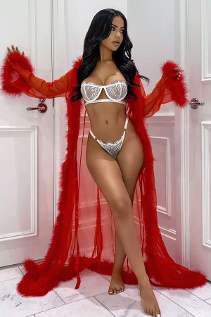 Halate - Set sexy, halat lung transparent accesorizat cu puf si chiloti tanga DLS-1rosu