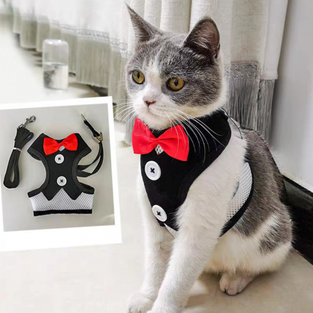 Accesorii animale de companie - Vesta cu nasturi si papion + lesa MDL-32negru