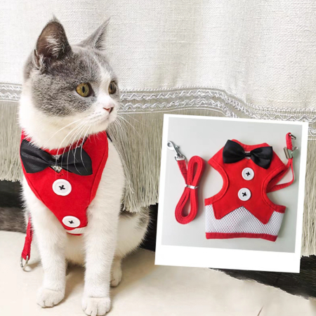 Accesorii animale de companie - Vesta cu nasturi si papion + lesa MDL-32rosu