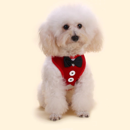 Accesorii animale de companie - Vesta cu nasturi si papion + lesa MDL-32rosu