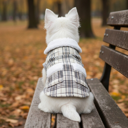 Vesta flausata XINA2111bej [3]