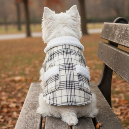 Vesta flausata XINA2111bej [0]