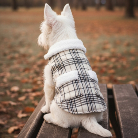 Vesta flausata XINA2111bej [2]