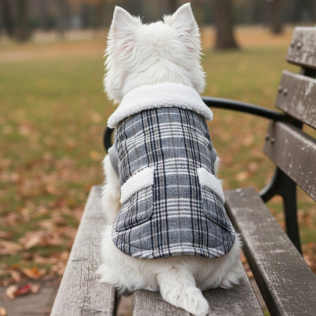 Animale de companie - Vesta flausata XINA2111gri