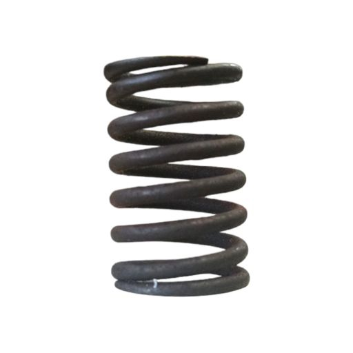 Arc supape motor Carpatina [1]
