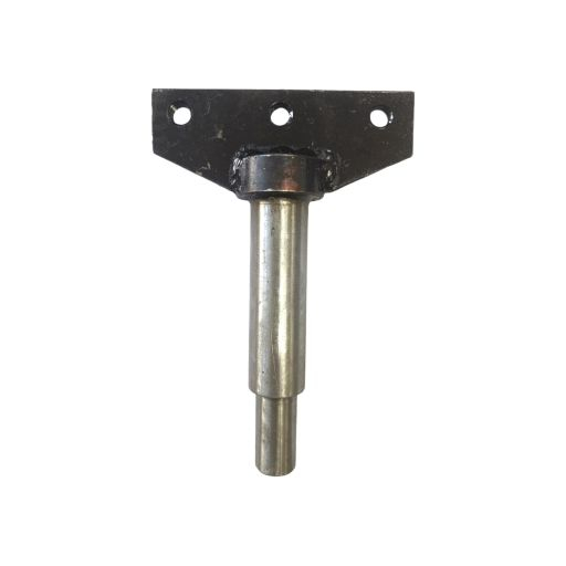 Bolt avion Carpatina [2]