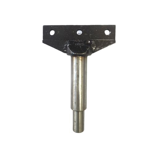 Bolt avion Carpatina [1]