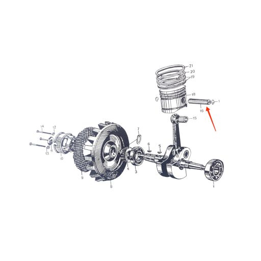 Bolt piston motor Carpatina [1]