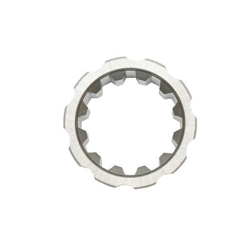 BUCSA CANELATA CV U445 [2]