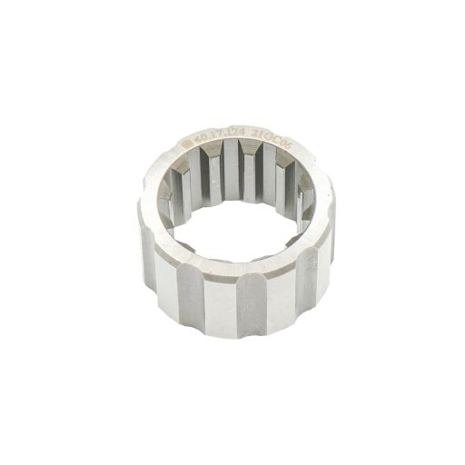 BUCSA CANELATA CV U445 [1]