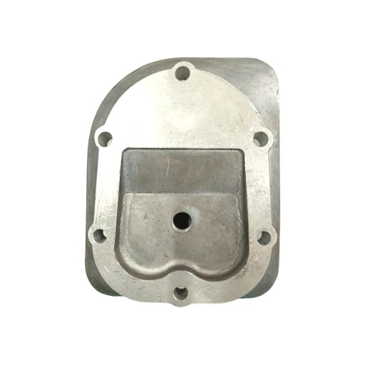 Chiulasa Carpatina [2]