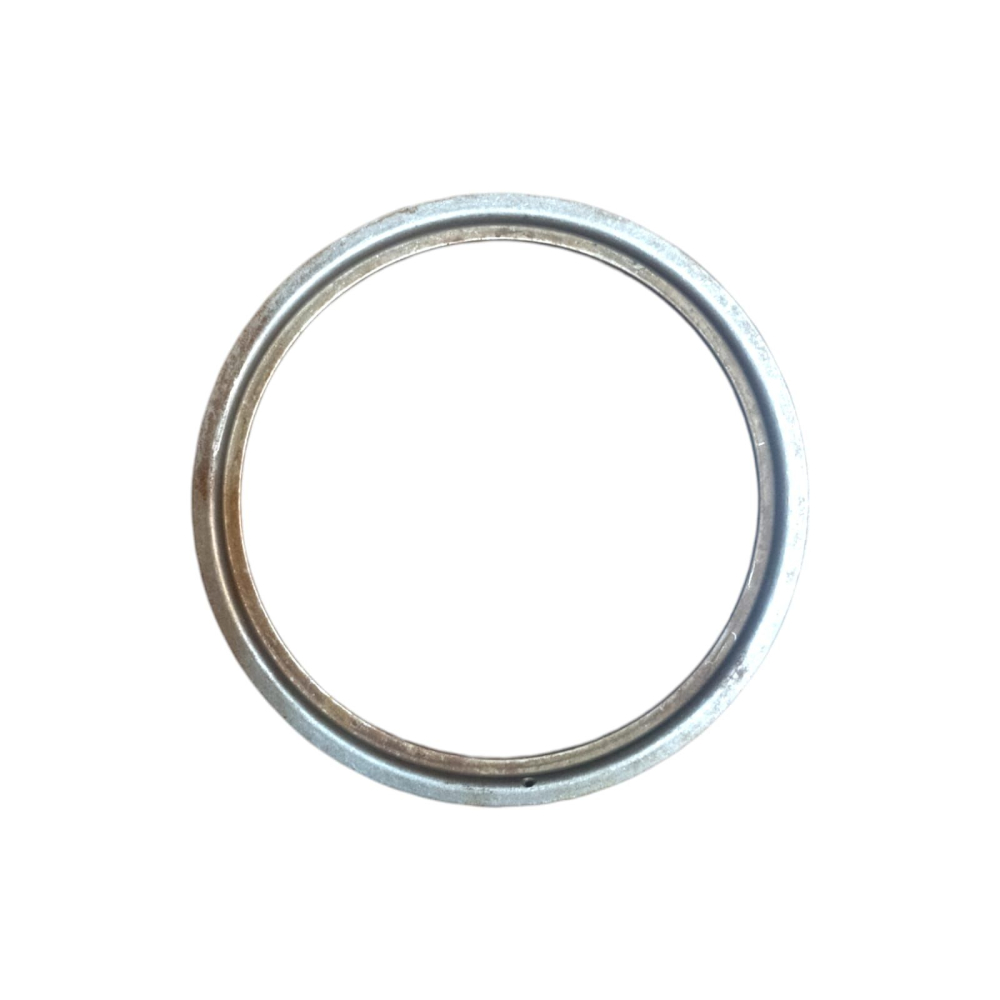 Deflector motor spate Saviem [2]