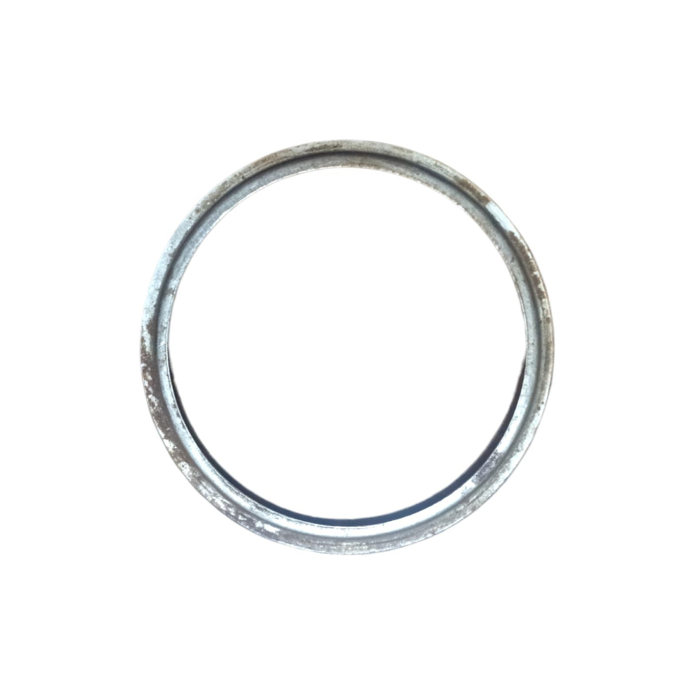 Deflector motor spate Saviem [2]