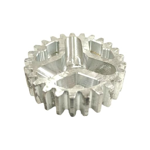 Pinion magnetou Carpatina [2]