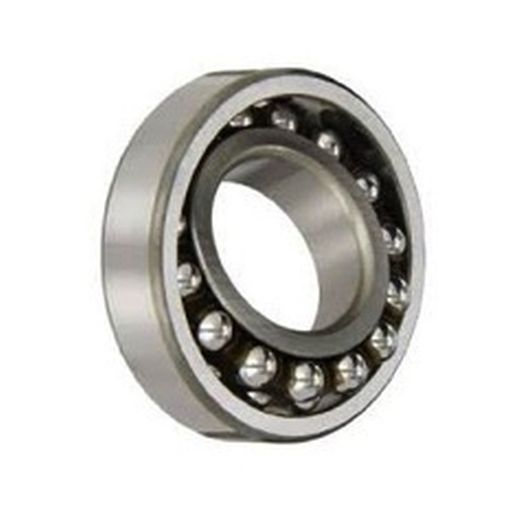 RULMENT 1200 [1]