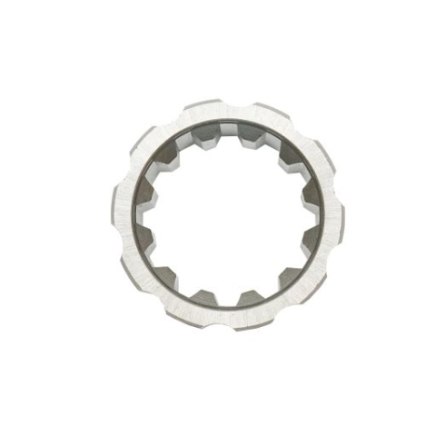 BUCSA CANELATA CV U445 [1]