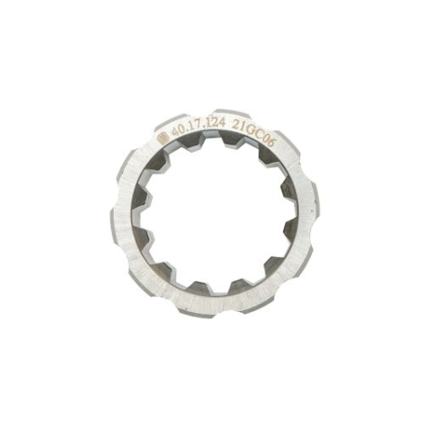 BUCSA CANELATA CV U445 [2]