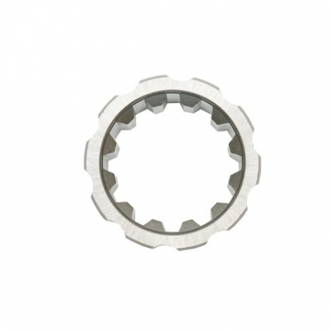 BUCSA CANELATA CV U445 [1]