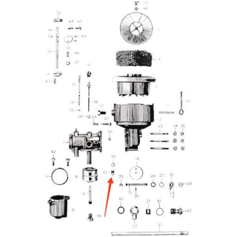 Cui pontou Carpatina [1]
