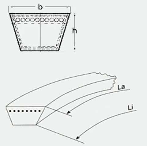 Curele clasice dintate - CUREA 1000(950LI)10X8 AVX CT