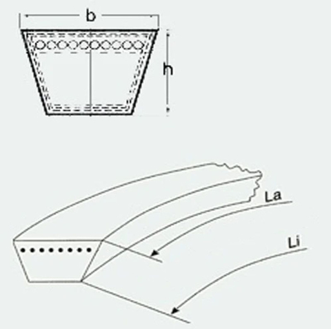Curele trapezoidale - CUREA 1013(975LI)X10X6 PB