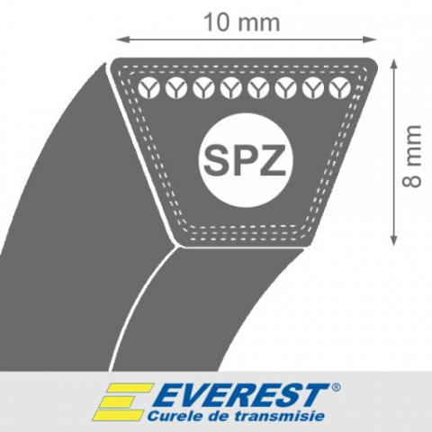 Curele trapezoidale - CUREA 1143(1093LI)X10X8 EVEREST