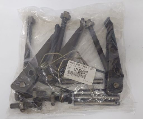 PARGHIE AMBR 11 PRIZA TN U445 [1]