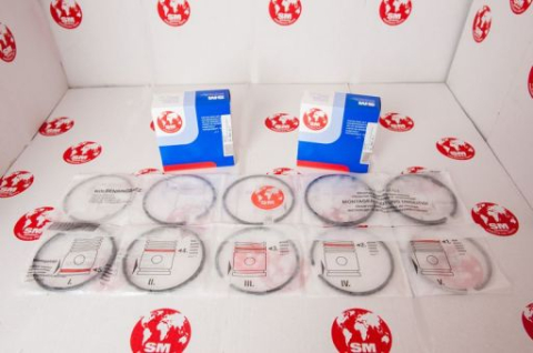 Segmenti motor FI108 Standard U650 SM [1]