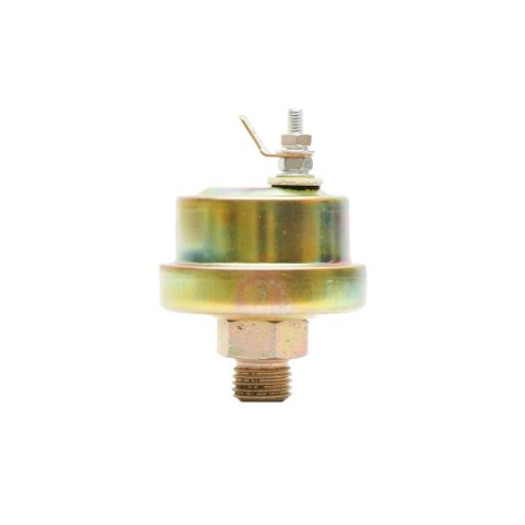 Electrice - SONDA PRES.ULEI BULB CEAS