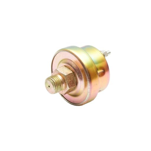 SONDA PRES.ULEI BULB CEAS [1]