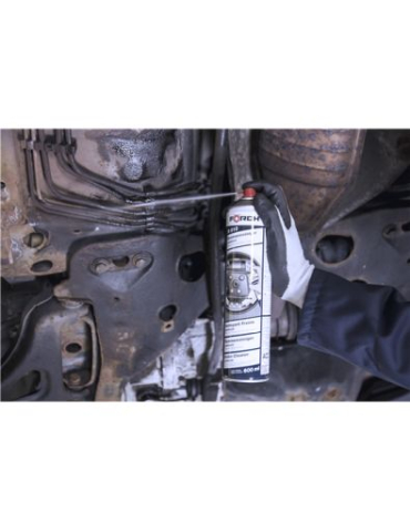 SPRAY CURATAT D.FR.600ML FOERCH [2]