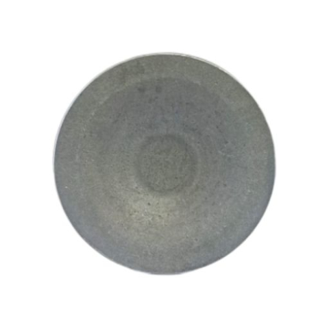 Supapa admisie/evacuare Carpatina [1]