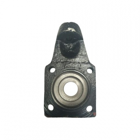 Suport Carpatina [1]