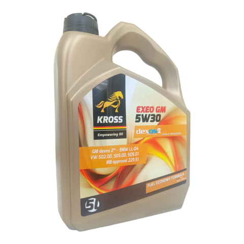 Lubrifianti - ULEI 5W30 5L C3 RN GM KROSS