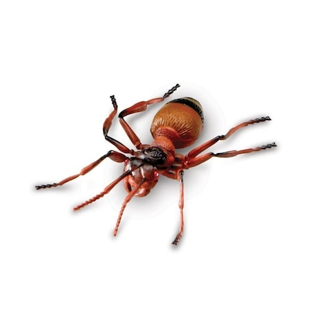 Set 18 Insecte, Figurine, Insect World Nature, multicolor, 6 cm [6]