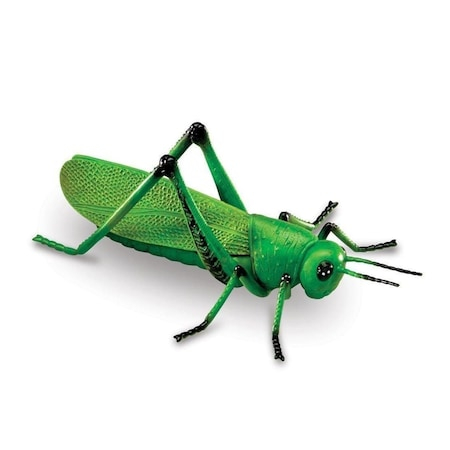 Set 18 Insecte, Figurine, Insect World Nature, multicolor, 6 cm [5]