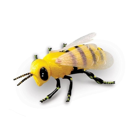 Set 18 Insecte, Figurine, Insect World Nature, multicolor, 6 cm [3]