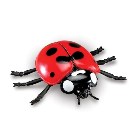 Set 18 Insecte, Figurine, Insect World Nature, multicolor, 6 cm [1]