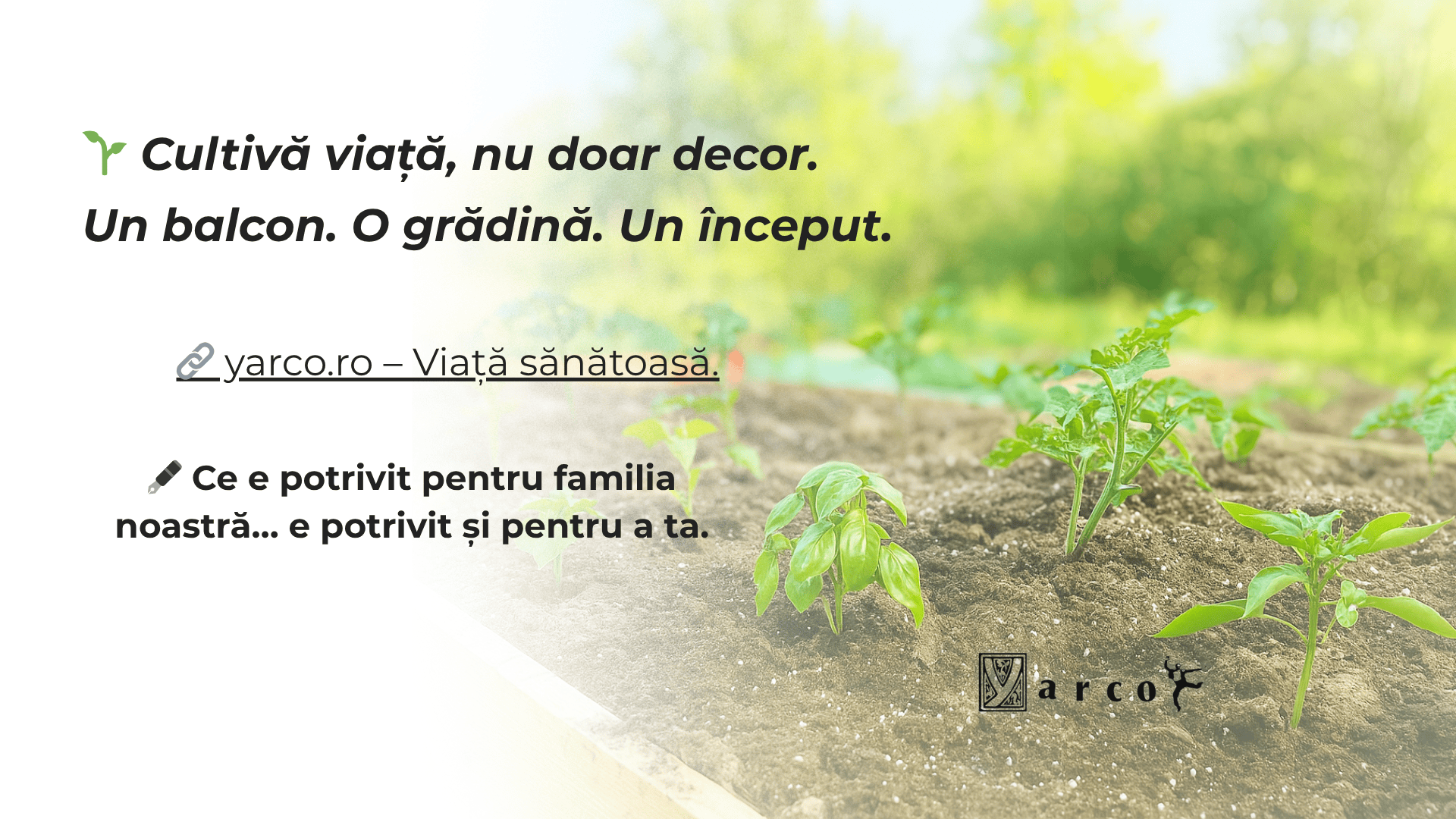 Cultiva răsaduri de legume, nu gazon. Yarco, viața sănătoasă