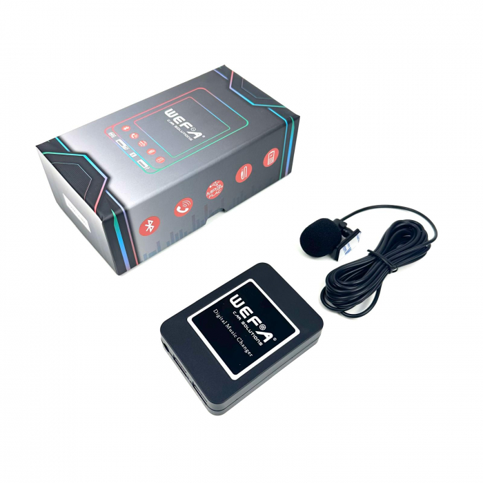 edare Wireless și Hands-Free pe Goldwing GL-1800 cu Interfața WEFA [7]