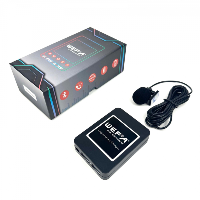 edare Wireless și Hands-Free pe Goldwing GL-1800 cu Interfața WEFA [4]