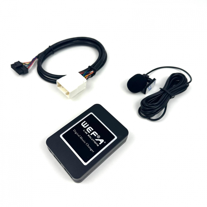 edare Wireless și Hands-Free pe Goldwing GL-1800 cu Interfața WEFA [6]
