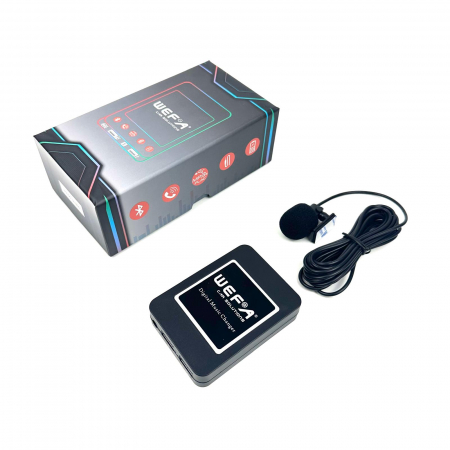 edare Wireless și Hands-Free pe Goldwing GL-1800 cu Interfața WEFA [6]