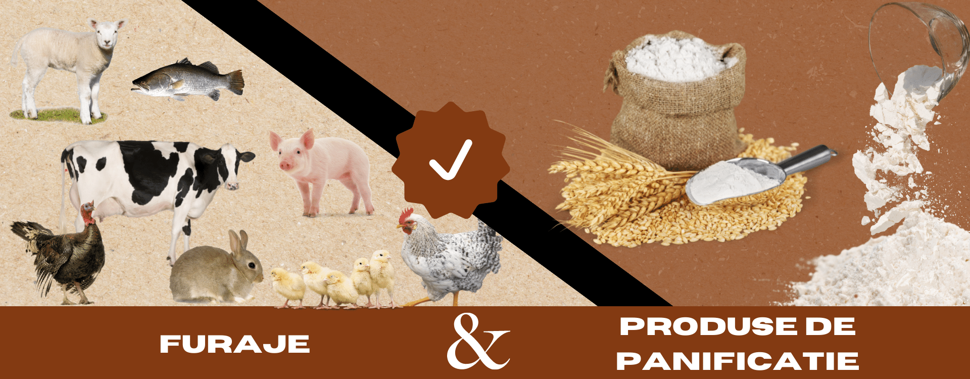 Companie Modern Agro Octy S.r.l