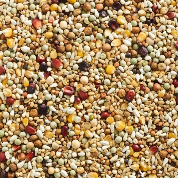 Mancare Porumbei 30kg -Livrare Gratuita [2]