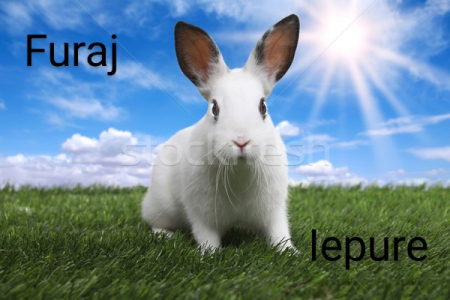 Furaj iepure negranulat 600kg OFERTA SAPTAMANII ! Furaje iepuri - Furaj iepure negranulat 600kg OFERTA SAPTAMANII !