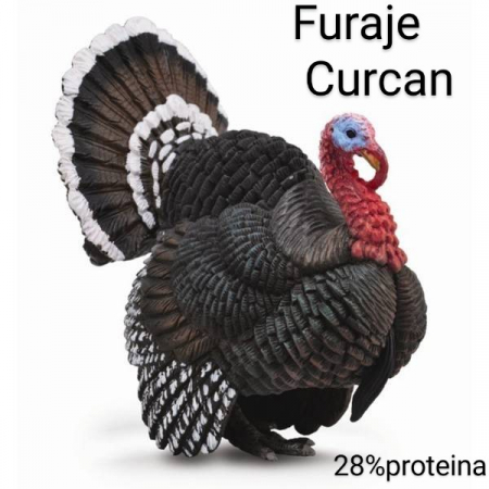 Furaje Curcani - Furaj starter Curcan negranulat 250kg