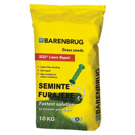 Seminte - Seminte Gazon . 500 mp - 10KG, Rezistent la Seceta