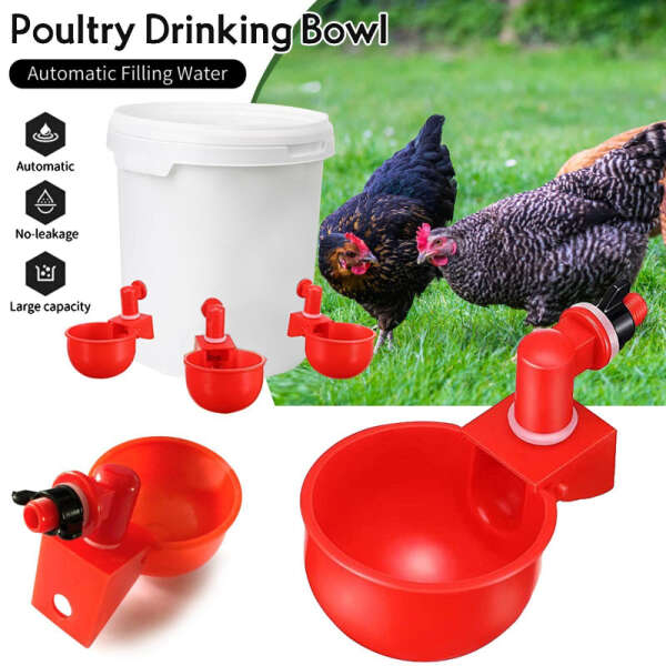 set furnizare apa pentru pasari de curte gaini, gaste, rate [6]